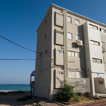 دريم أون ذا بيتش حيفا المظهر الخارجي الصورة