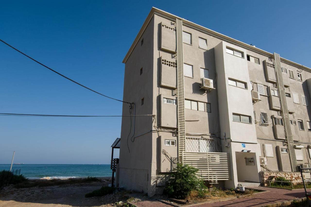 دريم أون ذا بيتش حيفا المظهر الخارجي الصورة